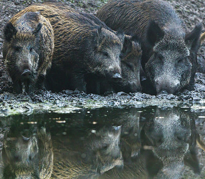 BUITEN BEELD Foto: 230420