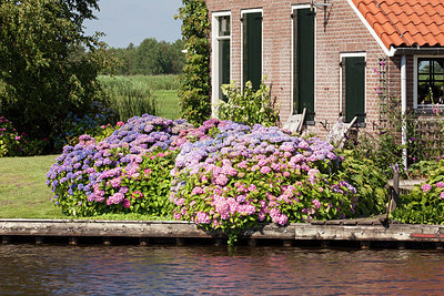 BUITEN BEELD Foto: 230437