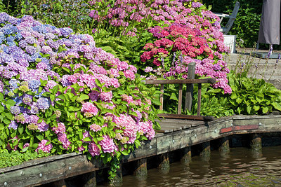 BUITEN BEELD Foto: 230438