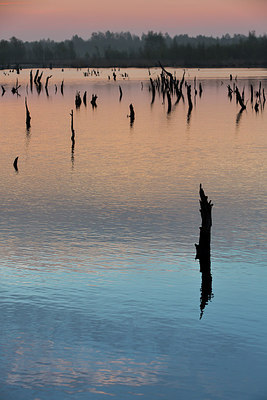 BUITEN BEELD Foto: 230452