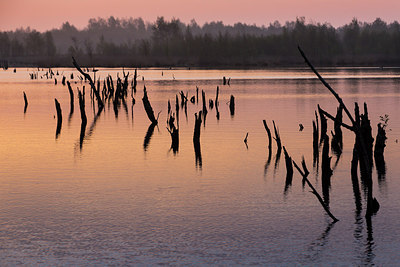 BUITEN BEELD Foto: 230453