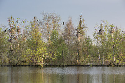 BUITEN BEELD Foto: 230455