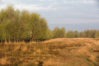 BUITEN BEELD Foto: 230456