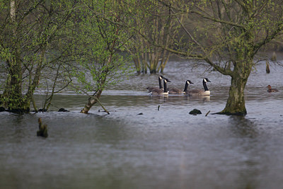 BUITEN BEELD Foto: 230461