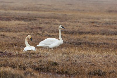 BUITEN BEELD Foto: 230542