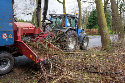 BUITEN BEELD Foto: 230586