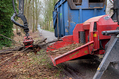 BUITEN BEELD Foto: 230587