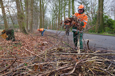 BUITEN BEELD Foto: 230588