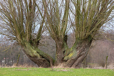 BUITEN BEELD Foto: 230591