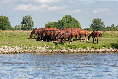 BUITEN BEELD Foto: 230632