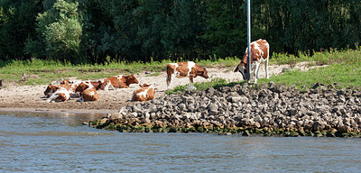 BUITEN BEELD Foto: 230638