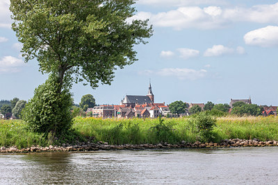 BUITEN BEELD Foto: 230642