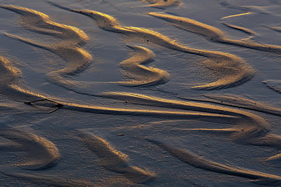 BUITEN BEELD Foto: 230661