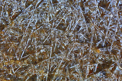 BUITEN BEELD Foto: 230663