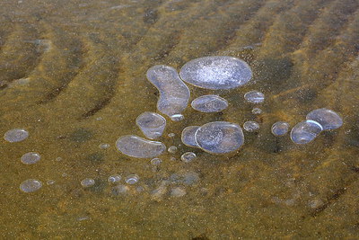 BUITEN BEELD Foto: 230665