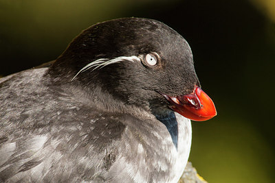 BUITEN BEELD Foto: 230676