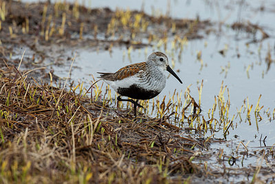 BUITEN BEELD Foto: 230693