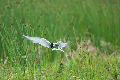 BUITEN BEELD Foto: 230724