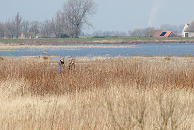 BUITEN BEELD Foto: 230769