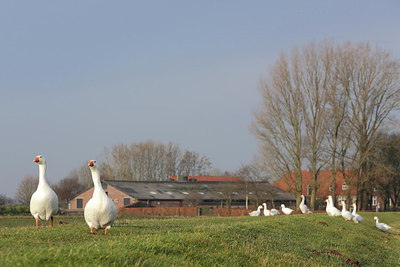 BUITEN BEELD Foto: 230792