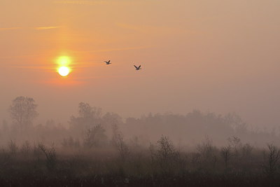 BUITEN BEELD Foto: 230795