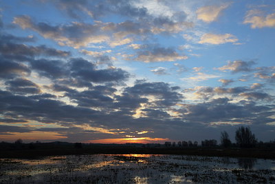 BUITEN BEELD Foto: 230796