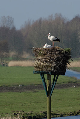 BUITEN BEELD Foto: 230806