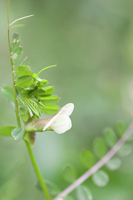 BUITEN BEELD Foto: 230855