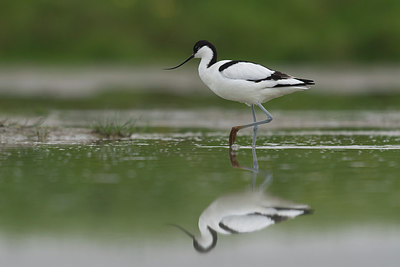 BUITEN BEELD Foto: 230874