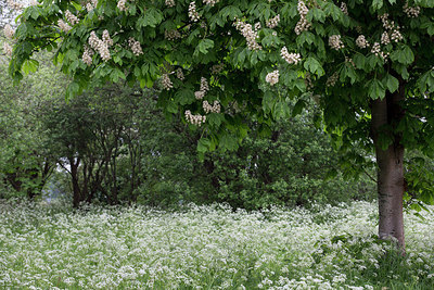 BUITEN BEELD Foto: 230901