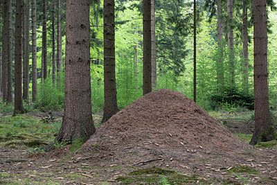 BUITEN BEELD Foto: 230903