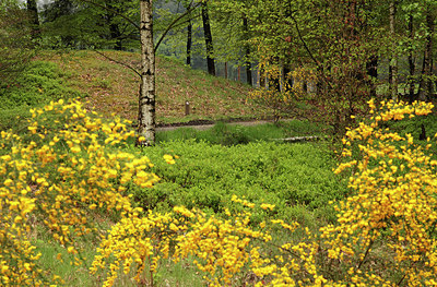 BUITEN BEELD Foto: 230964