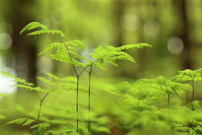 BUITEN BEELD Foto: 230968