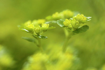 BUITEN BEELD Foto: 230969