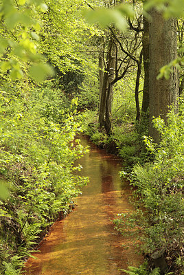 BUITEN BEELD Foto: 230973