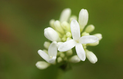 BUITEN BEELD Foto: 230987