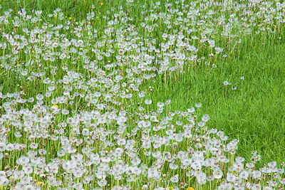 BUITEN BEELD Foto: 231024