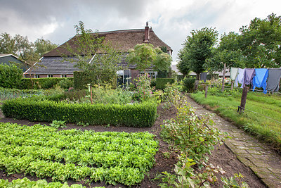 BUITEN BEELD Foto: 231079