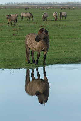 BUITEN BEELD Foto: 231103