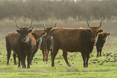 BUITEN BEELD Foto: 231104