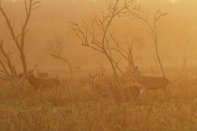 BUITEN BEELD Foto: 231127