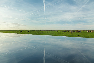 BUITEN BEELD Foto: 231134