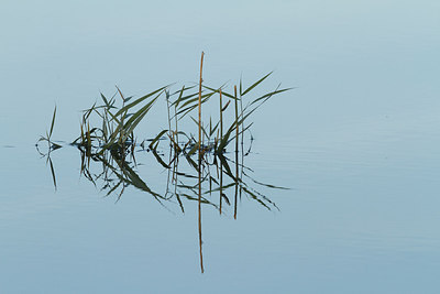 BUITEN BEELD Foto: 231140