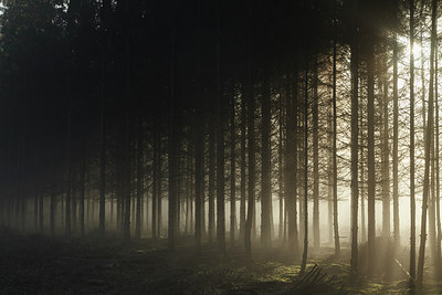 BUITEN BEELD Foto: 231142