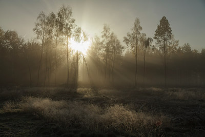 BUITEN BEELD Foto: 231153