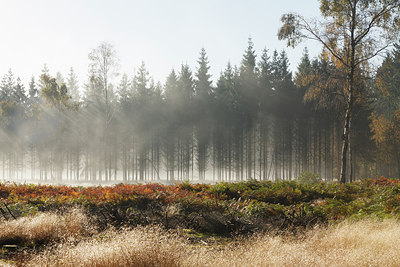 BUITEN BEELD Foto: 231185