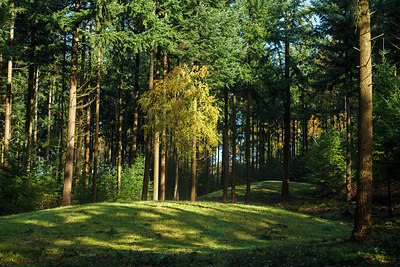 BUITEN BEELD Foto: 231186