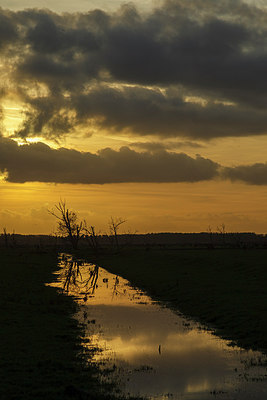 BUITEN BEELD Foto: 231189