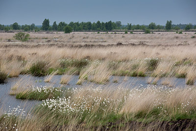 BUITEN BEELD Foto: 231216