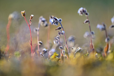 BUITEN BEELD Foto: 231302